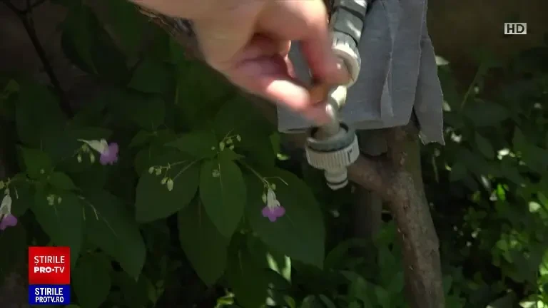 Canicula a afectat și rezervele de apă. Furnizorii au impus restricții în mai multe județe din țară