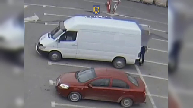 Trei cățeluși, abandonați în parcarea unui mall din Bacău. Făptașii au fost prinși și amendați