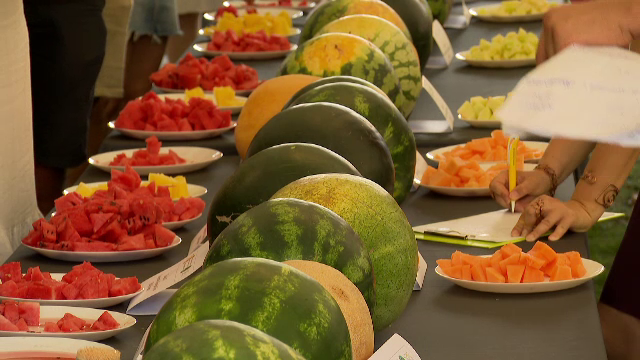 Pepenii exotici încep să-i înlocuiască pe cei românești. În piețe au apărut pepenii Rebecca, Rachel, Garfield