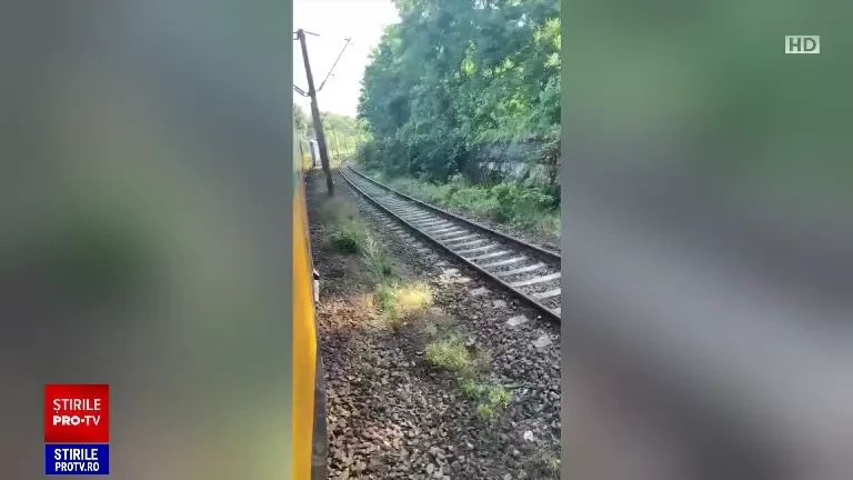 „Nu am băut apă ca să aibă copilul”. Reacția unei femei cu un copil de 2 ani, după ce trenul a avut o întârziere de 7 ore