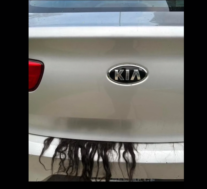 S-au îngrozit când au văzut păr ieșind din mașina vecinei lor. Polițiștii au fost uimiți când a deschis portbagajul. VIDEO