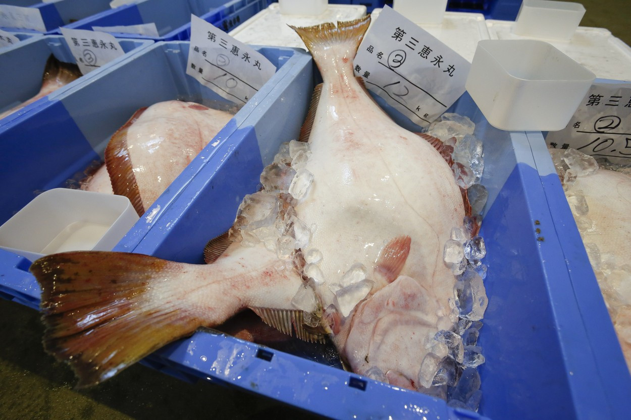 A fost prins un pește cu o concentrare radioactivă de 180 de ori mai mare decât limita. Unde a fost pescuit