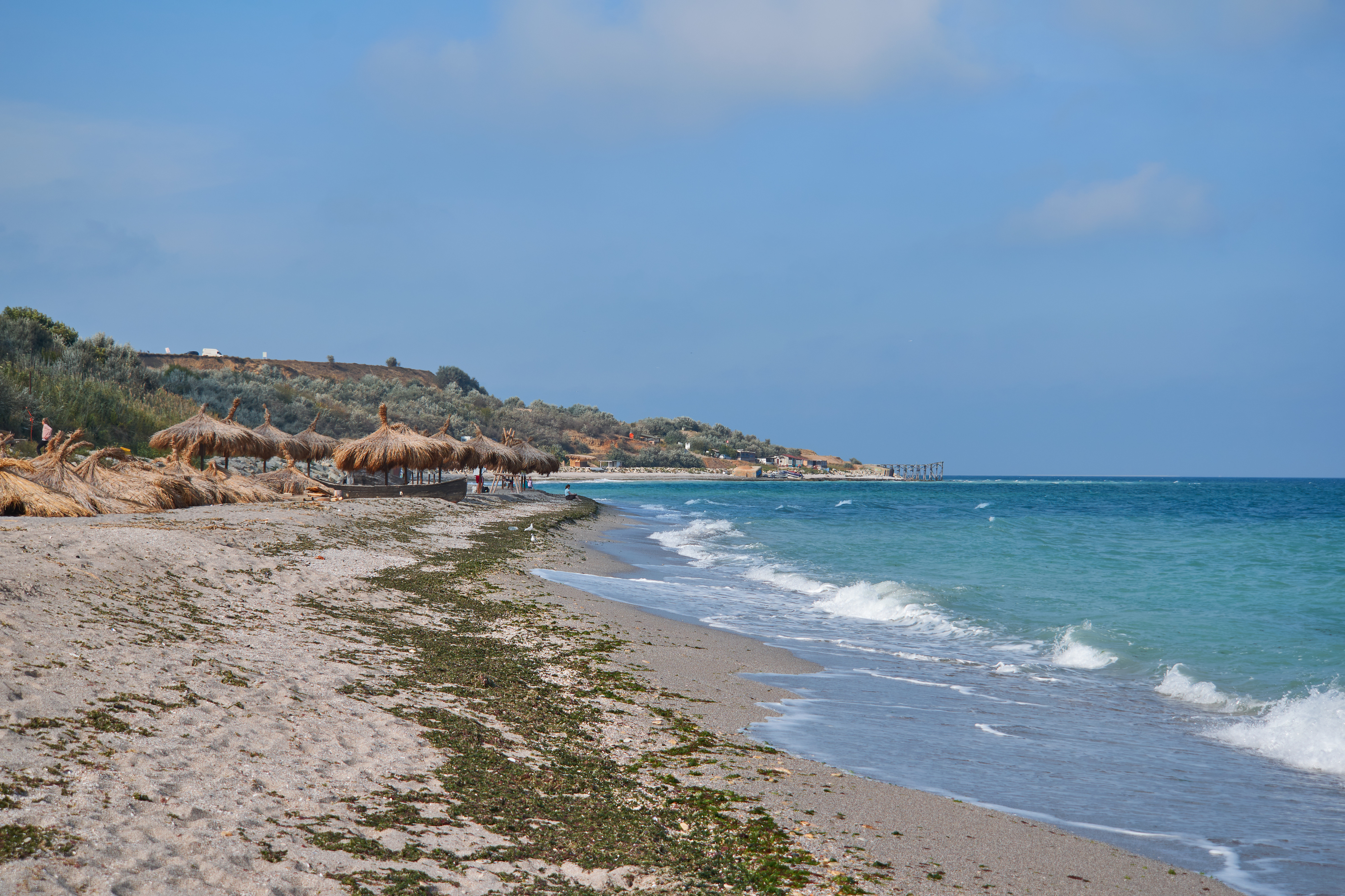 Plaje salbatice in romania