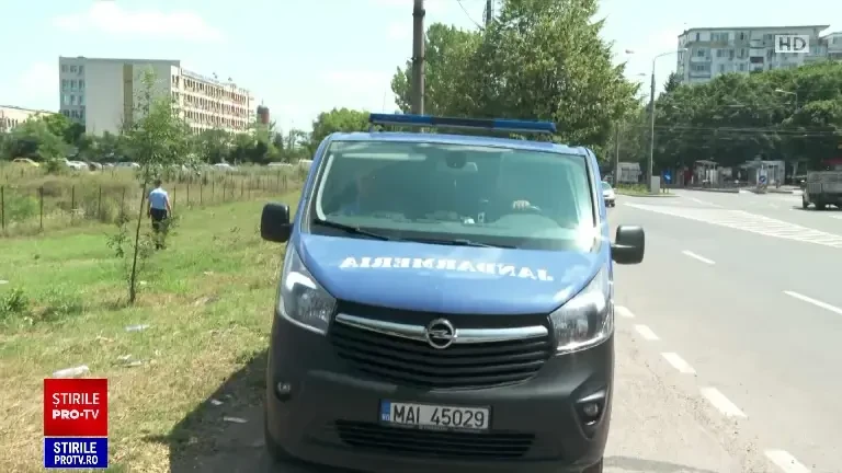Ursul căutat de autorități a reapărut la periferia Ploieștiului