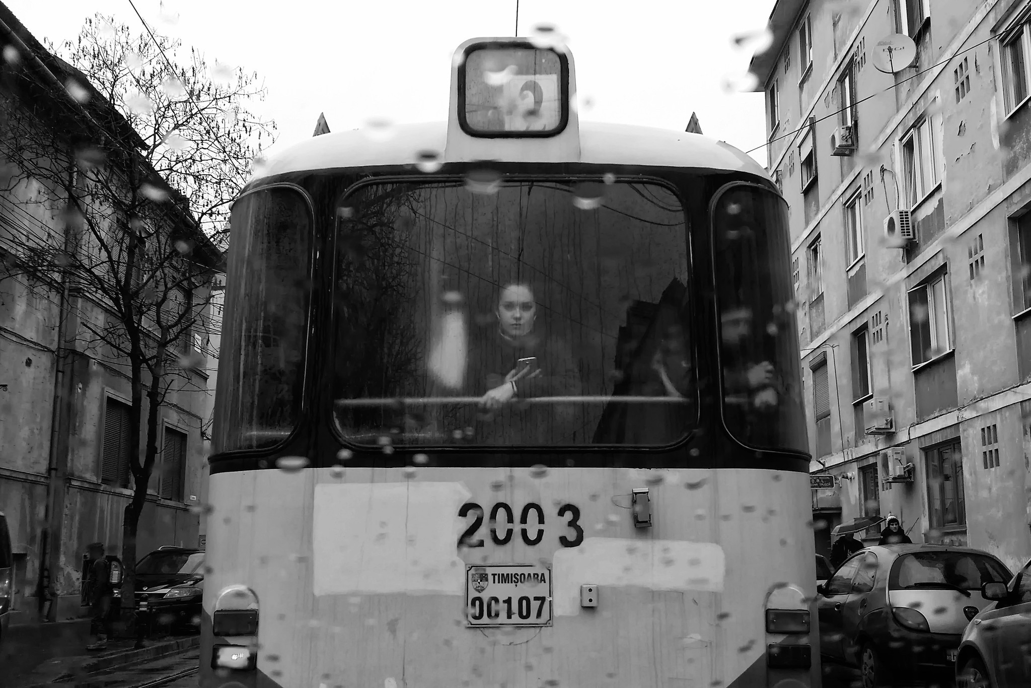 Concurs de fotografie liberă la Timișoara. Au fost desemnați câștigătorii. GALERIE FOTO