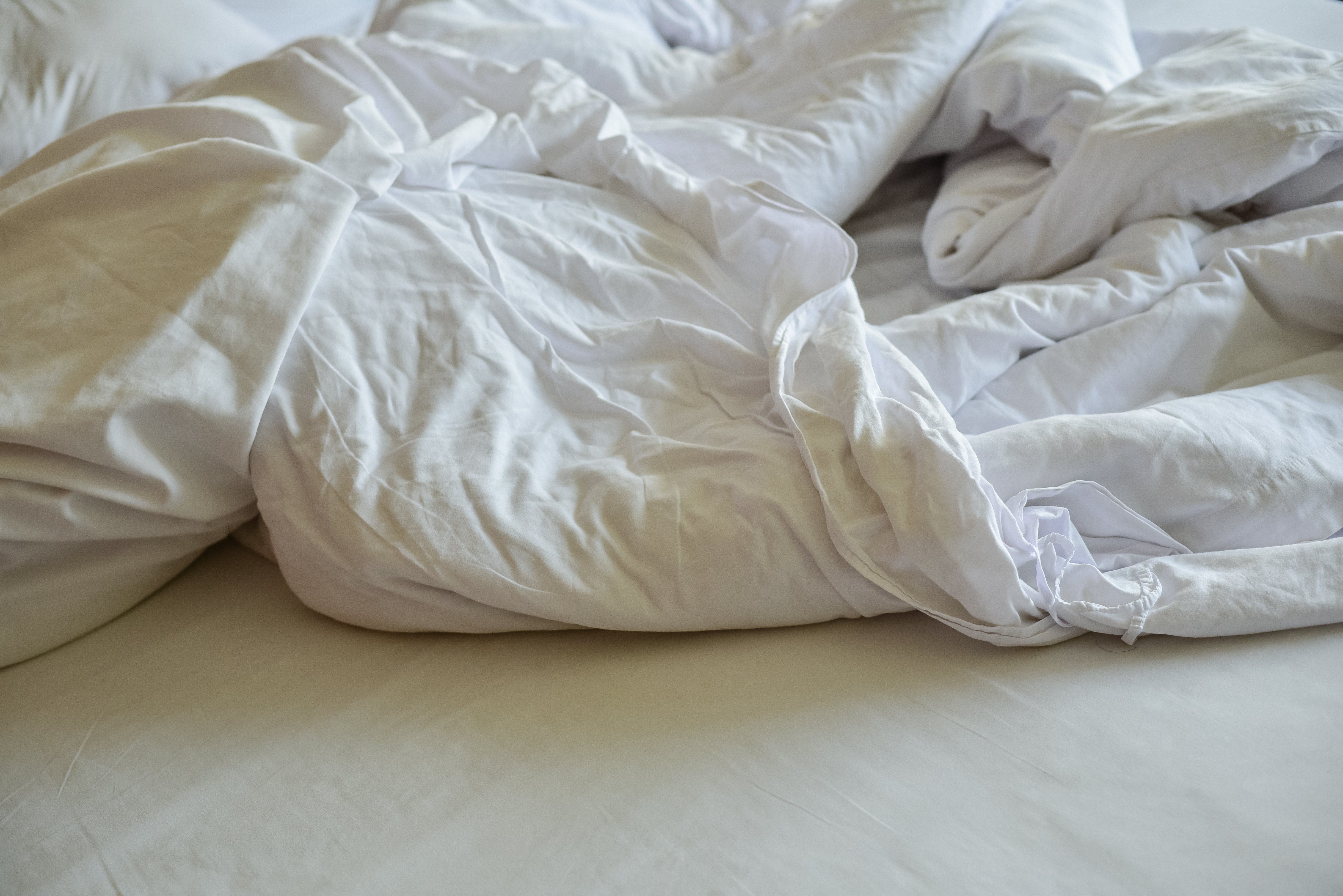 Vacanță de groază pentru o familie de turiști britanici. Au găsit fecale pe saltea și purici