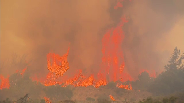 Incendiile din Grecia au dezlănțuit iadul pe pământ. Turiștii fug disperați să se salveze: ”Se împingeau de pe feribot”