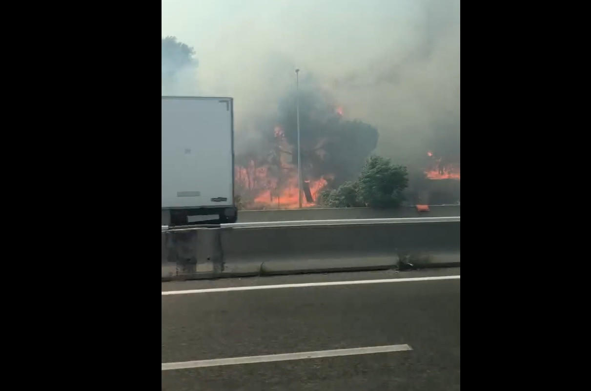 Incediu de proporții în apropiere de aeroportul internaţional din Nisa. Traficul auto şi cel feroviar, întrerupte | VIDEO