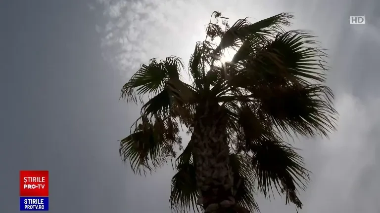 Europa, răvașită de incendii și fenomene atmosferice extreme. Unde sunt înregistrate cele mai critice situații