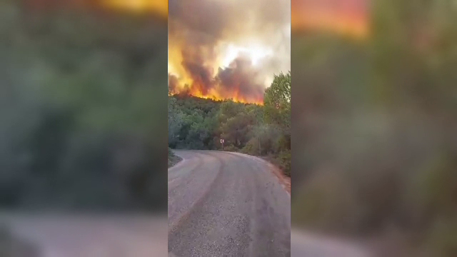 Incendiile de vegetație au izbucnit și în Turcia. Mai multe focare au apărut în Kemer și Antalya