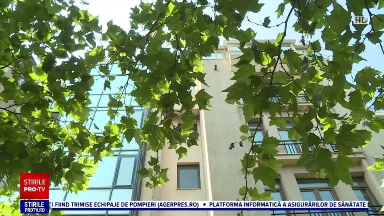 Penthouse-ul Ioanei Timofte, scos la licitație. Cum arată casa nepoatei fostului șef al SRI