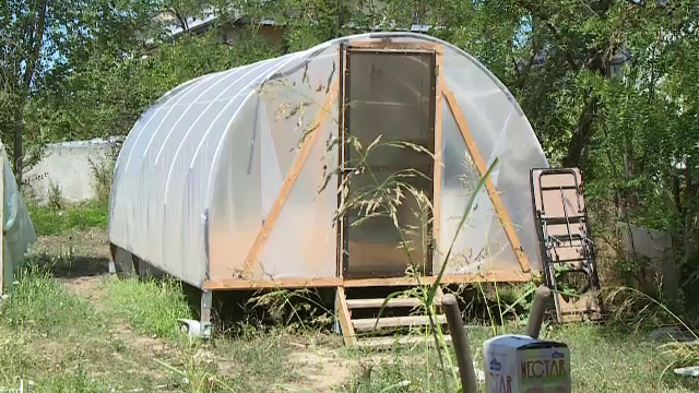 Un azil-fantomă din Voluntari ținea bătrâni într-o seră, pe o caniculă cumplită