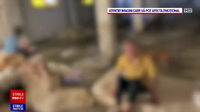 Azilul ororilor din Mureș. Oameni sedați înainte de controale, bătuți și înfometați: ”Acoperită cu muște, nici nu mai mișca”