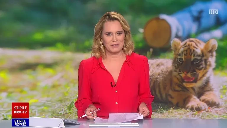 Doi pui de tigru de Sumatra, specie pe cale de dispariție, au venit pe lume la o grădină zoologică din San Diego