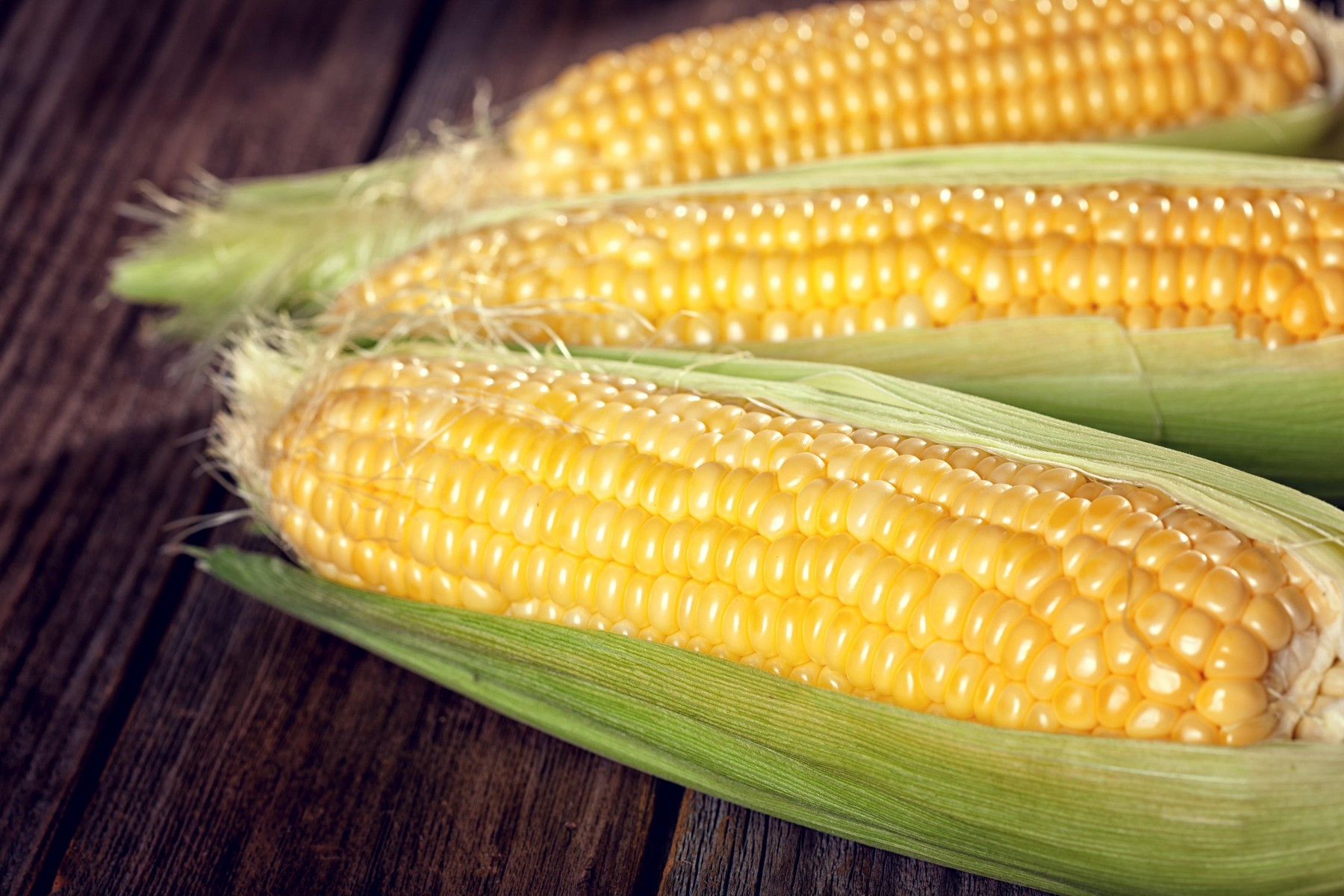 Porumbul zaharat, delicatesa hibrid inclusă în meniul restaurantelor: „Trebuie să încerci chestia asta neapărat”