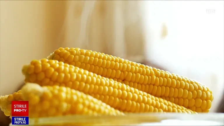 Pormubul zaharat, delicatesa hibrid inclusă în meniul restaurantelor: „Trebuie să încerci chestia asta neapărat”