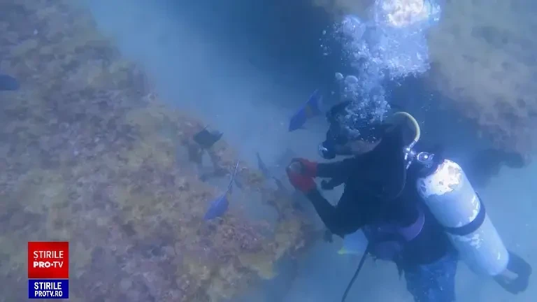 El Nino, ce este și de ce este responsabil de schimbările climatice din lume. Fenomenul meteo care provoacă războaie civile