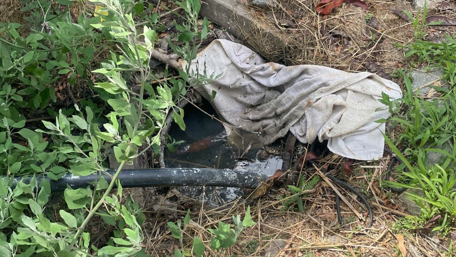 O firmă din Constanța, amendată de Garda de Mediu. Deversa ape neepurate pe terenuri din Rezervaţia Biosferei Delta Dunării