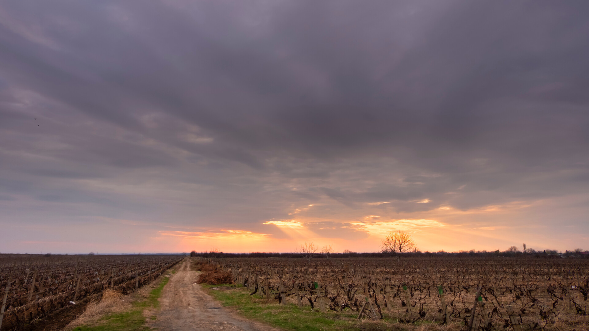 Obiective turistice în Vrancea. Cele mai frumoase locuri de vizitat în Focșani și împrejurimi