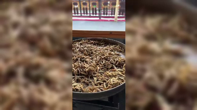 Scandal la un control ANPC în Satul de Vacanță din Constanța. Comisarii au fost înjurați și s-a aruncat cu mâncare în ei