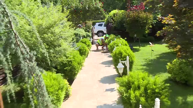 Românii care plătesc mii de euro pentru ca cineva să le ude plantele cât sunt plecați în vacanță. ”Au toată încrederea”