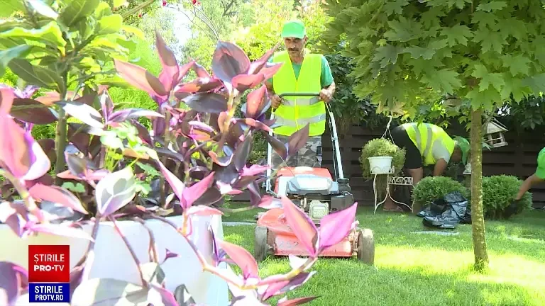 Românii care plătesc mii de euro pentru ca cineva să le ude plantele cât sunt plecați în vacanță. ”Au toată încrederea”