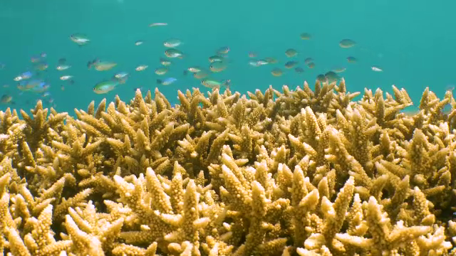 Climatologii trag semnale de alarmă. Temperatura oceanelor a atins o medie record