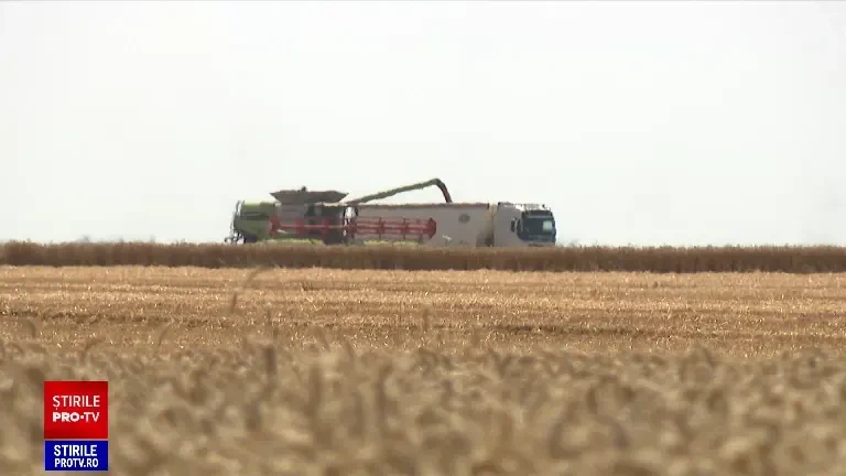 România va depăși pragul de zece milioane de tone la producția de grâu cultivat din acest an