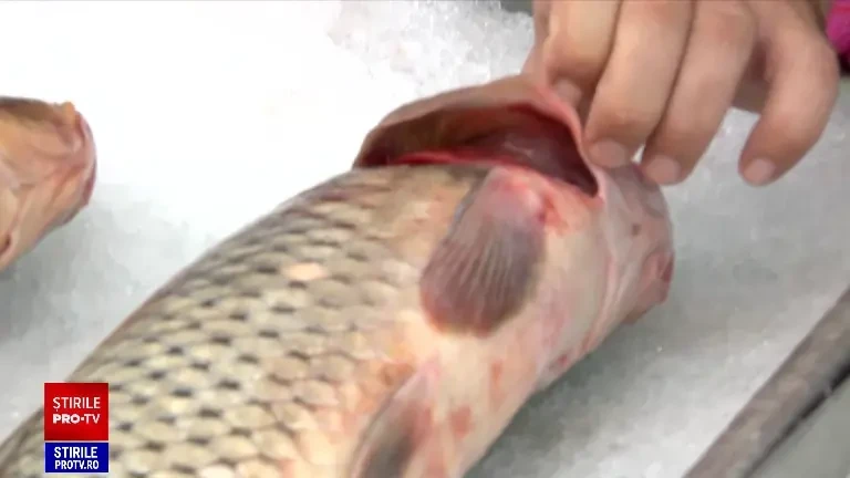 Schimbarea la Față a Domnului, sărbătorită pe 6 august. A fost aglomerație în pescării