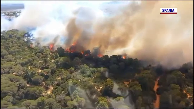 Incendii uriașe în Europa. Mii de pompieri se luptă cu flăcările, oamenii sunt evacuați de urgență