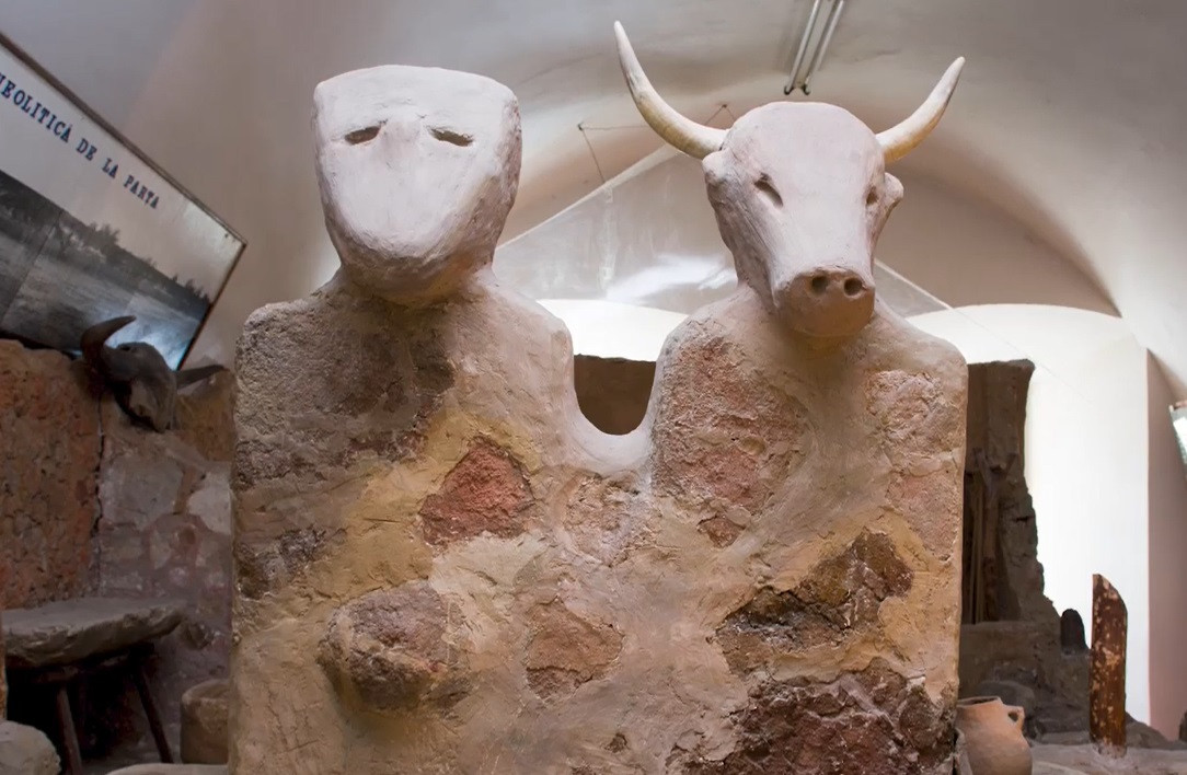 Sanctuarul neolitic de peste 6.000 de ani de la Parța: descoperiri despre ritualuri, hrană, bere, construcţii