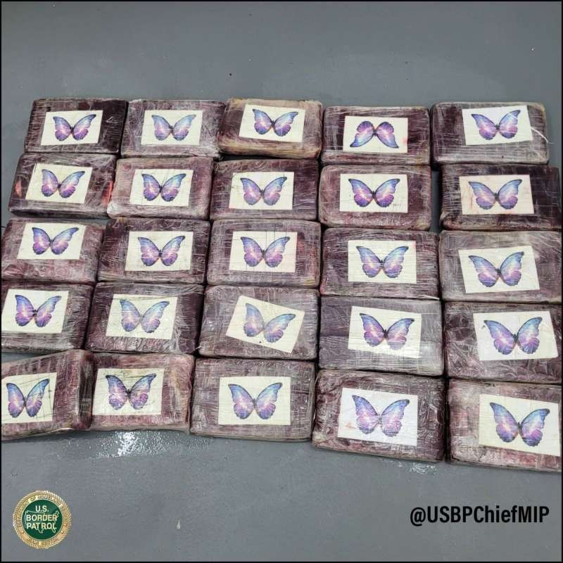 Captură ”halucinantă”. Un primar care s-a dus la pescuit ”a prins” cocaină de peste un milion de dolari