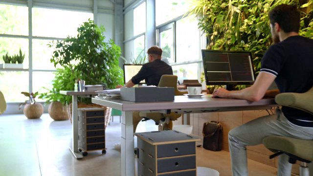 Record de firme închise în România. Aproape 20.000 nu au făcut față inflației mari și încetinirii economiei