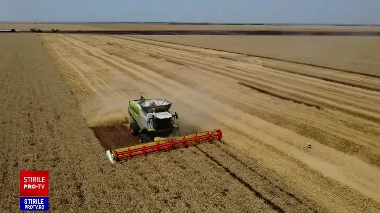 România are parte de un an agricol bun, se laudă oficialii din Agricultură. Grâul, regele cerealelor anul acesta