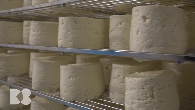 Brânză sau carne? Cu ce mă îngraș mai puțin? Mesele bogate în grăsimi dăunează și ficatului