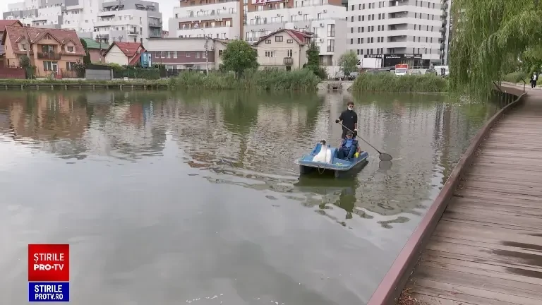 Mii de pești morți plutesc pe un lac din Cluj-Napoca. Cauza acestui dezastru ecologic