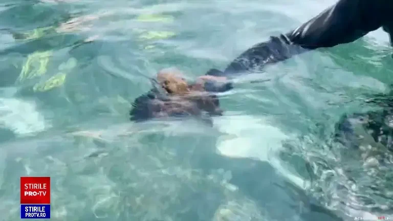 Tot mai mulți părinți aleg să plece în tabere cu tematică. La modă sunt cele de dezvoltare personală sau spiritualitate