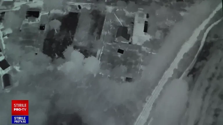 Alertă în Ploiești din cauza unui urs care dă târcoale orașului de câteva săptămâni. Animalul este căutat cu drona