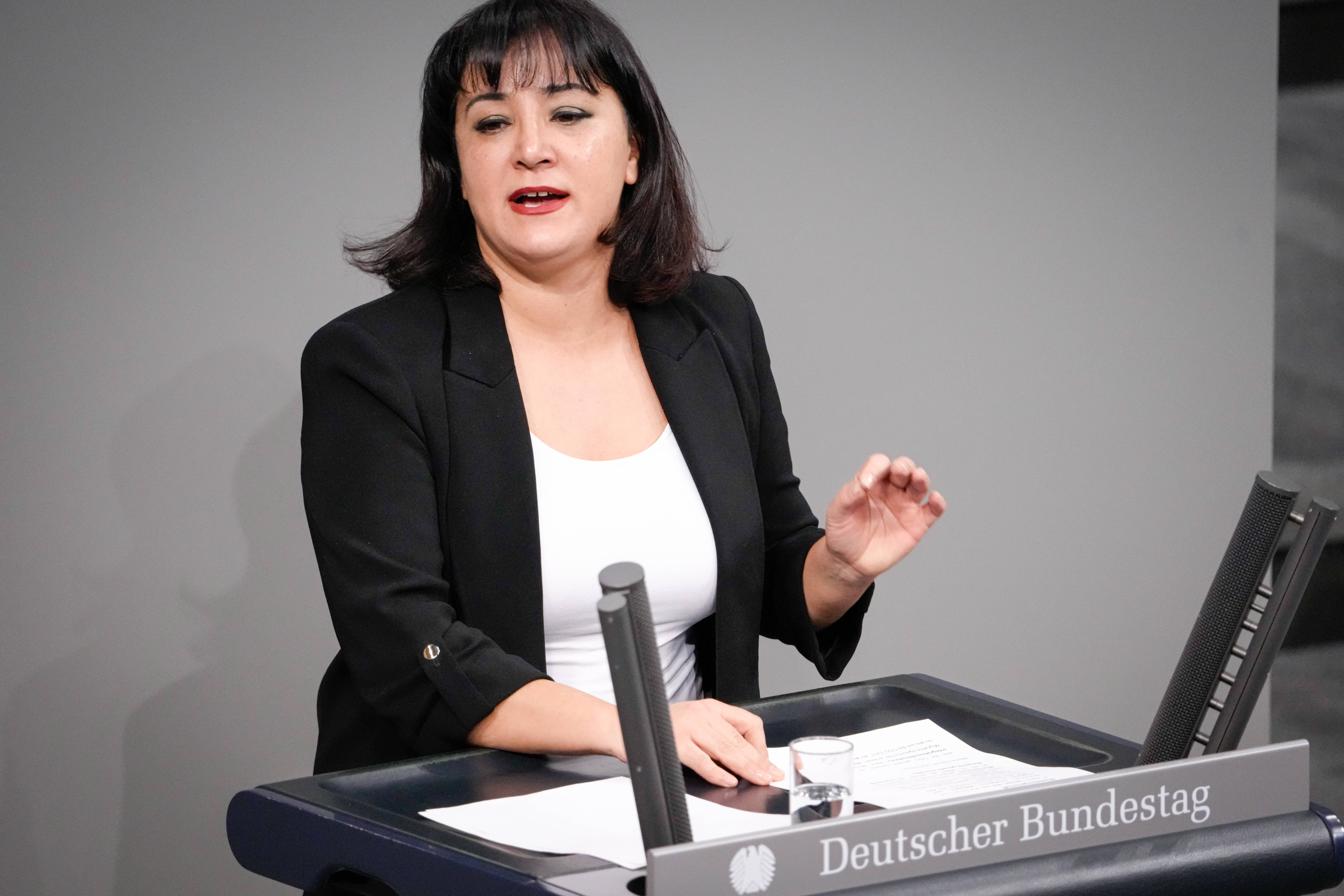 O parlamentară germană susține că a fost reținută la intrarea în Turcia pentru că l-a criticat pe Erdogan în mediul online