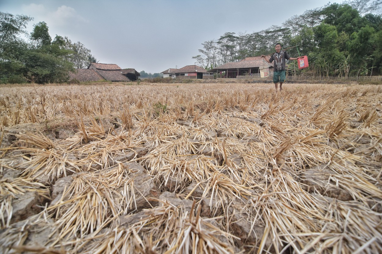 Agenţia pentru managementul dezastrelor din Indonezia avertizează cu privire la perioade extinse de secetă în Java şi Bali