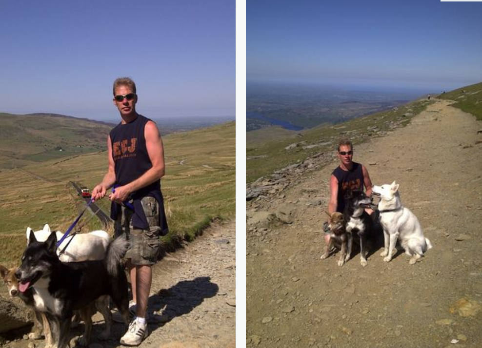 „Un copil minunat care a murit tragic”. O fetiță de 3 luni a fost ucisă de unul dintre cei 19 câini ai familiei