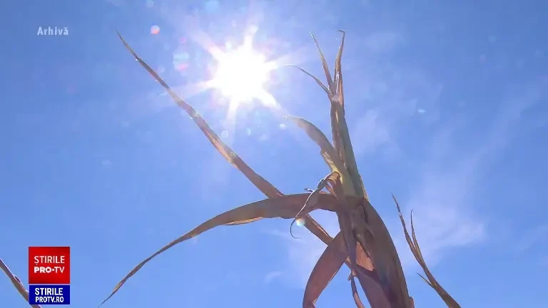 Specialiștii avertizează. Temperaturile ridicate vor deveni o obișnuință, iar vara s-ar putea prelungi de acum înainte