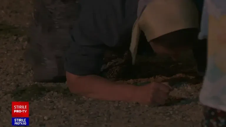 Aproape 100.000 de credincioși ar putea fi prezenți la Mănăstirea Nicula din județul Cluj, de Adormirea Maicii Domnului