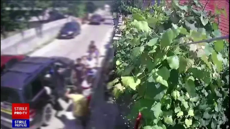 ”Te arunc în aer”. Un pădurar a fost amenințat cu moartea de braconierii de trufe. Unii au avut la ei arme albe