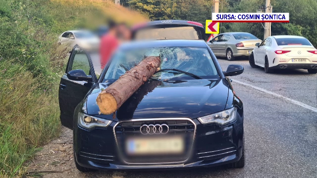 Reacția șoferului camionului din care a căzut un buștean peste o mașină, când a văzut echipa PRO TV. VIDEO