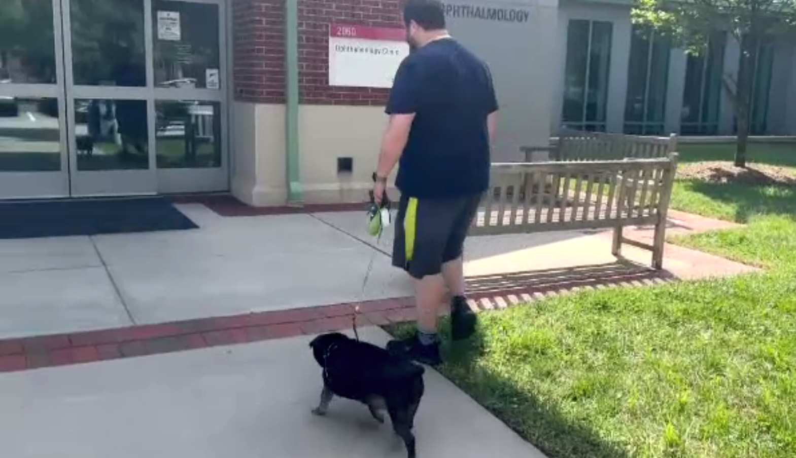 Studiu pentru prelungirea vieții câinilor, cu rezultate îmbucurătoare. Rolul suplimentelor