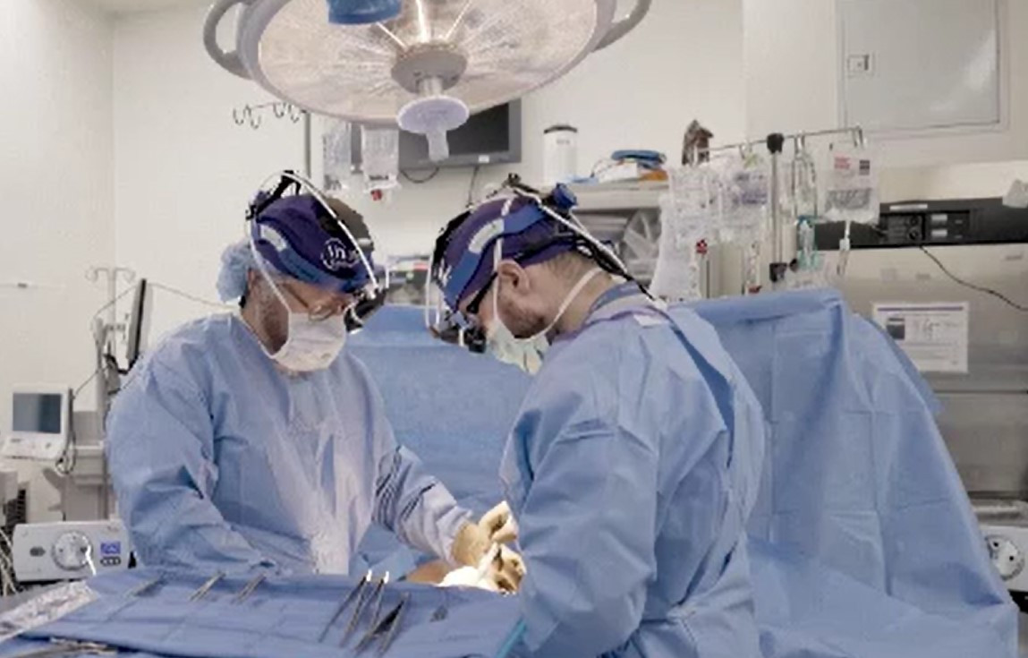 Un bărbat aflat în moarte cerebrală a primit un rinichi de porc, iar organismul său nu a dat semne de respingere
