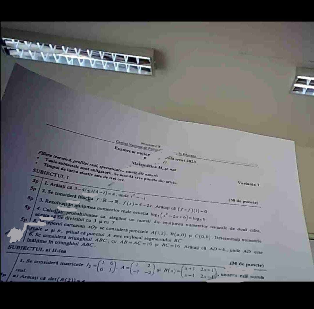 Bac de toamna Subiecte