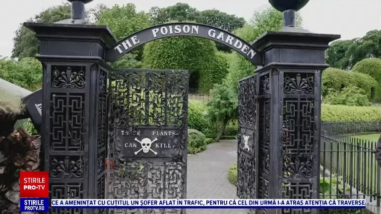 ”Grădina Otrăvită”, una dintre cele mai periculoase grădini botanice din lume. În 2023, aproape 80 de vizitatori au leșinat