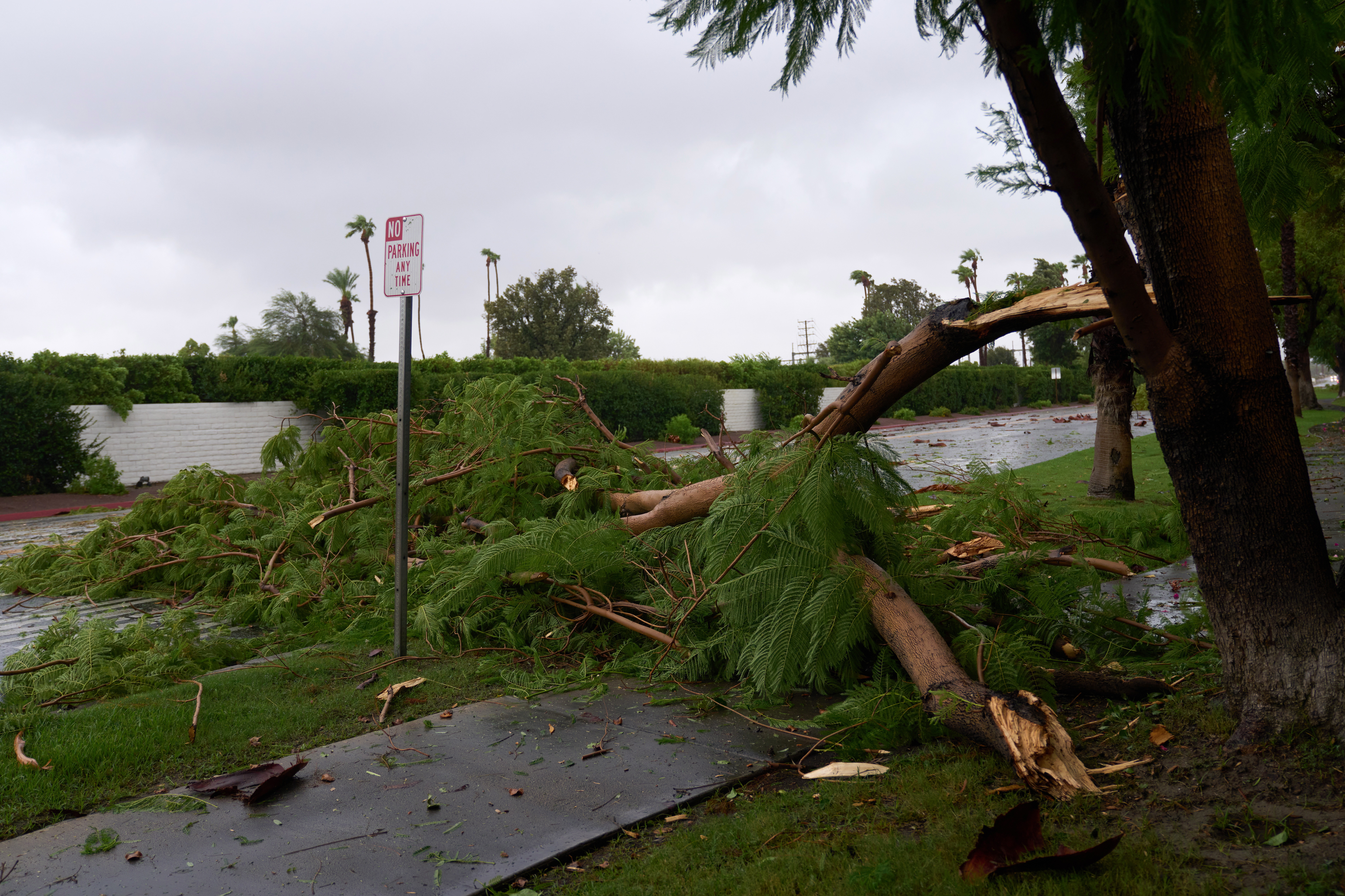 California, lovită în plin de furtuna tropicală Hilary. Este prima de acest gen după 80 de ani